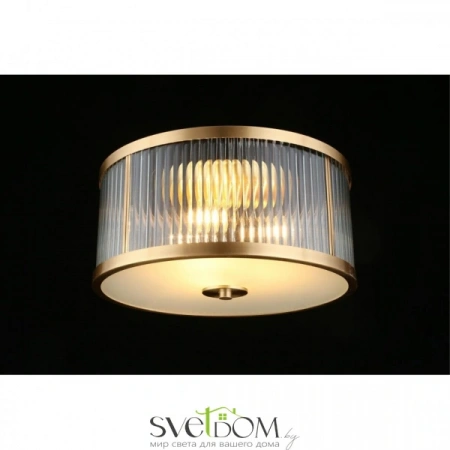 Люстры потолочныеAPL.624.07.03 Aployt | Svetdom.by