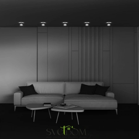 Потолочные светильники Maytoni C092CL-GX53-MG от Магазина Svetdom.by