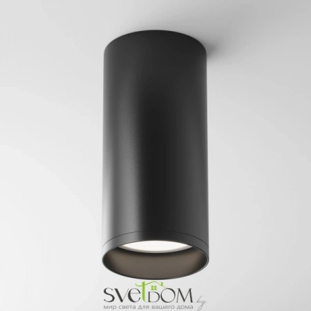 Потолочные светильники Maytoni C010CL-01B от Магазина Svetdom.by