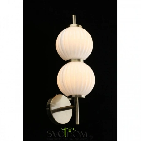 Настенные светильники APL.608.01.02 Aployt | Svetdom.by