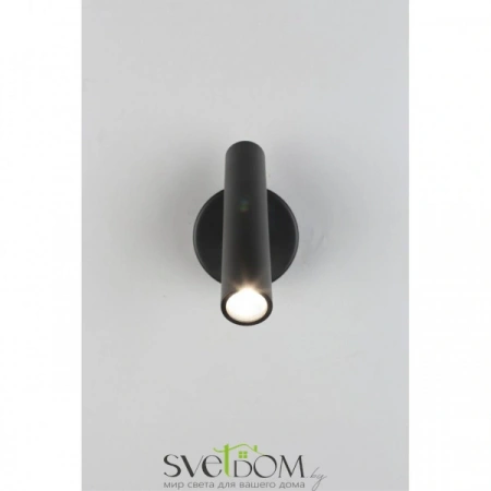 Настенные светильники APL.067.01.03 Aployt | Svetdom.by