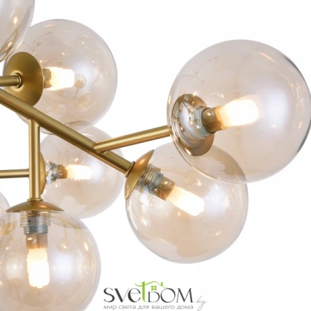 Фото Потолочные светильники Maytoni MOD545PL-20G Потолочные светильники Maytoni MOD545PL-20G от Магазина Svetdom.by