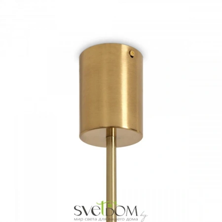 Потолочные светильники Freya FR2050CL-L36BS от Магазина Svetdom.by