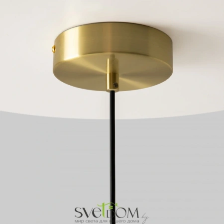 Подвесные светильники Maytoni MOD362PL-L10BG3K от Магазина Svetdom.by