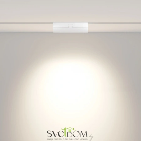 TR033-2-12W4K-W Maytoni