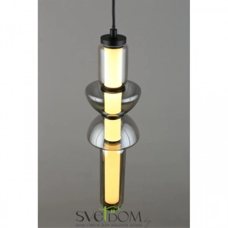 Подвесные светильники Aployt APL.665.06.17 от Магазина Svetdom.by