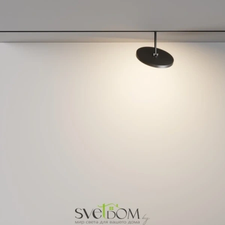 Трековый светильник Technical TR131-2-15W3K-B Maytoni
