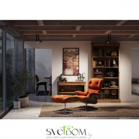 Потолочные светильники Maytoni C142CL-6W3K-B от Магазина Svetdom.by