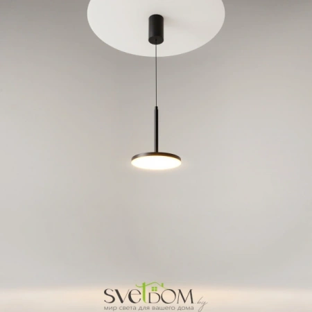 Подвесные светильники Maytoni P076PL-L12W3K-B от Магазина Svetdom.by