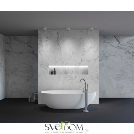 Потолочные светильники Maytoni C064CL-01-25W3K-RD-WB от Магазина Svetdom.by