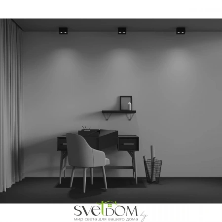 Потолочные светильники Maytoni C065CL-02-L12W4K-B от Магазина Svetdom.by