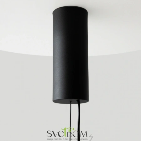 Подвесные светильники Maytoni MOD406PL-L8B3K от Магазина Svetdom.by