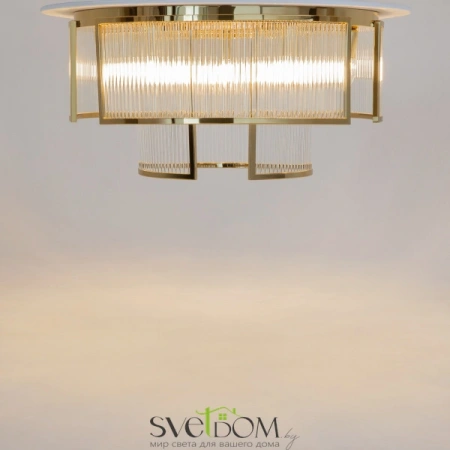 Потолочные светильники Maytoni MOD174CL-09G от Магазина Svetdom.by