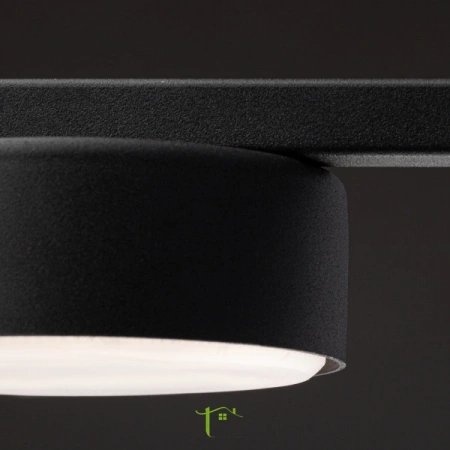 Потолочные светильники Freya FR5363CL-01B от Магазина Svetdom.by