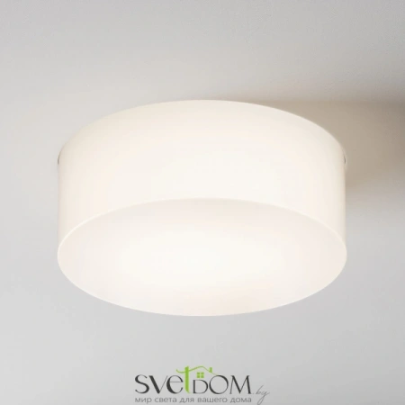 Встраиваемые светильники Maytoni DL065-12W4K-TRS-W от Магазина Svetdom.by