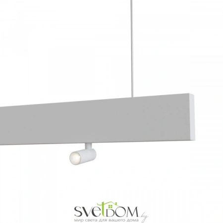 Светильники Maytoni P068PL-L27W4K от Магазина Svetdom.by