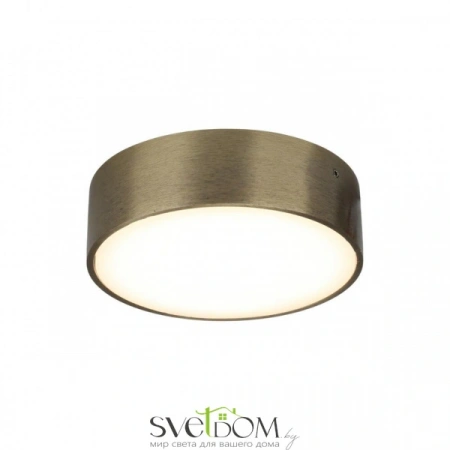 Настенно-потолочные светильники Aployt APL.0113.29.12 от Магазина Svetdom.by