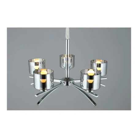 Люстра подвесная Omnilux  OML-55803-05 Omnilux