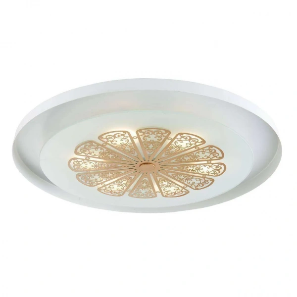 Потолочные светильники Favourite 2602-5C от Магазина Svetdom.by