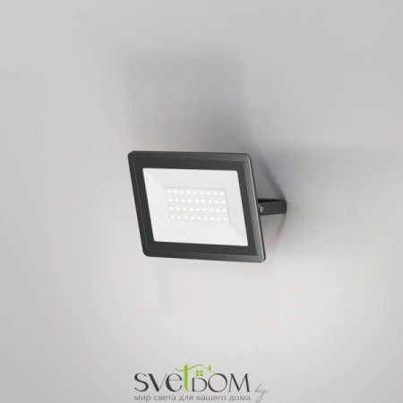 FL001-L30B6K Maytoni