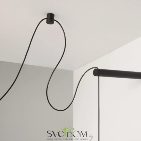 Подвесные светильники Maytoni MOD427PL-L20B3K1 от Магазина Svetdom.by