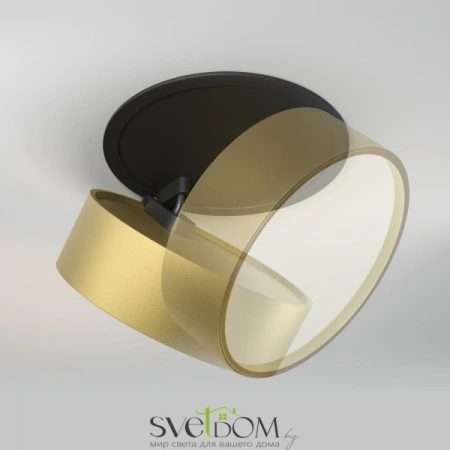 Встраиваемые светильники Maytoni DL024-18W3K-BMG от Магазина Svetdom.by