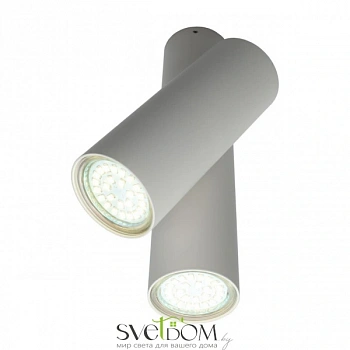 Светильник настенно-потолочный Aployt  APL.006.02.02