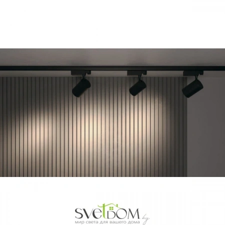 TR029-3-30W3K-B Maytoni