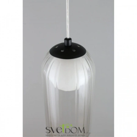 Подвесные светильники Aployt APL.325.16.01 от Магазина Svetdom.by