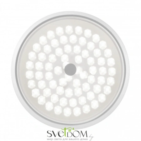 Фото Светильники Freya FR10012CL-L24W Светильники Freya FR10012CL-L24W от Магазина Svetdom.by