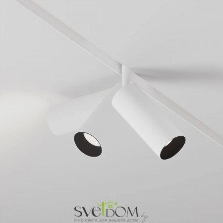 TR032-4-12WTW-M-DD2-W Maytoni