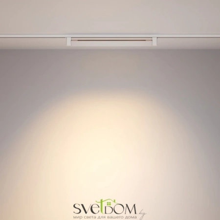 TR010-1-20W3K-M-W Maytoni