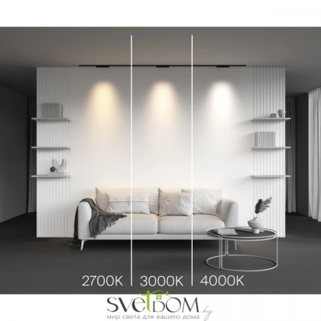 TR193-1-10W3K-M-B Maytoni