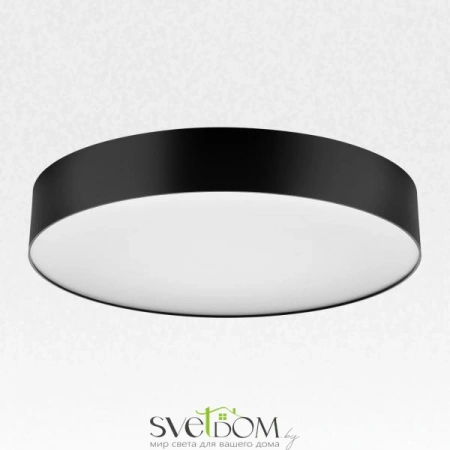 Накладные светильники CITILUX CL755391 от Магазина Svetdom.by