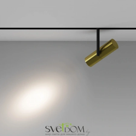 TR005-2-12W4K-BBS Maytoni