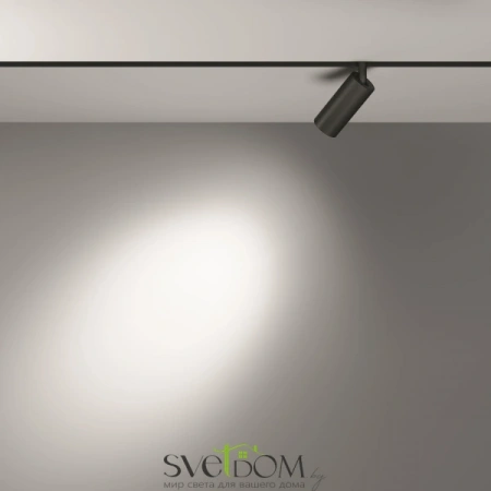 TR032-2-5W3K-S-B Maytoni