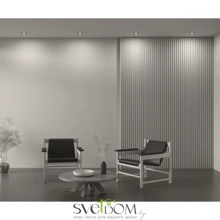 Встраиваемые светильники Maytoni DL008-2-01-W от Магазина Svetdom.by