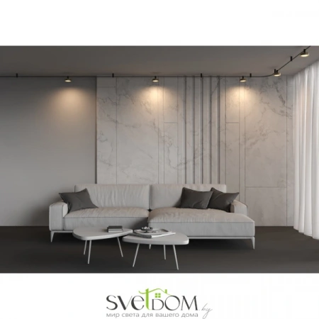 TR204-1-12W3K-BBS Maytoni