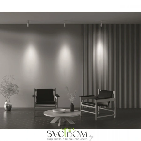 Потолочные светильники Maytoni C055CL-L12W4K-Z-W от Магазина Svetdom.by