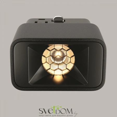 TR100-2-2W3K-S-B Maytoni