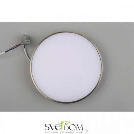 Настенно-потолочные светильники Aployt APL.0113.29.24 от Магазина Svetdom.by