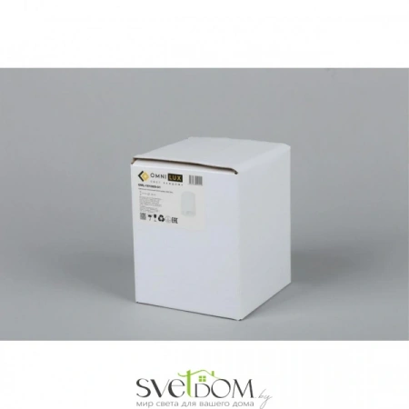 Накладные светильники Omnilux OML-101009-01 от Магазина Svetdom.by