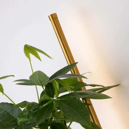 Настенные светильники 4050-1W Favourite | Svetdom.by