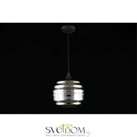 Подвесные светильники Aployt APL.605.16.01 от Магазина Svetdom.by