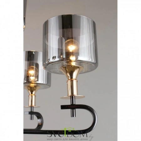 Люстры подвесныеOML-68703-06 Omnilux | Svetdom.by