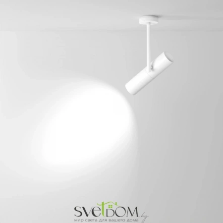 Потолочные светильники Maytoni C020CL-01W от Магазина Svetdom.by