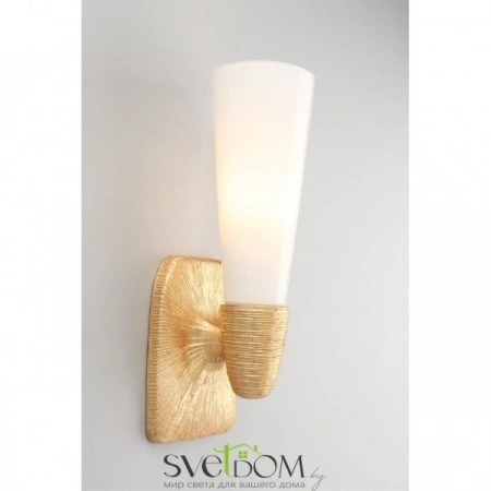 Настенные светильники APL.800.01.01 Aployt | Svetdom.by