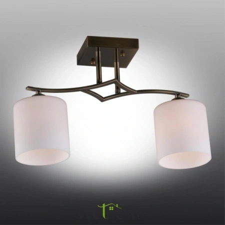 Люстры потолочныеOML-55317-02 Omnilux | Svetdom.by