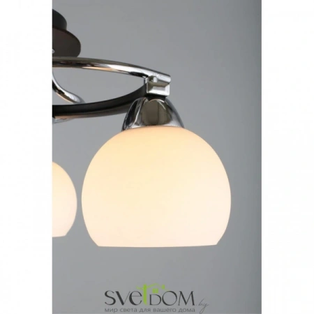 Люстры потолочныеOML-25407-03 Omnilux | Svetdom.by