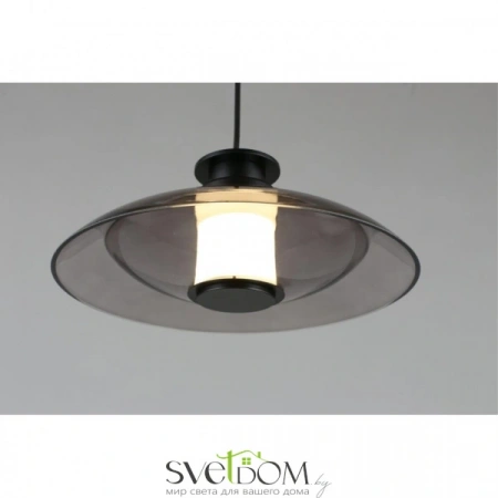 Подвесные светильники Aployt APL.648.06.10 от Магазина Svetdom.by